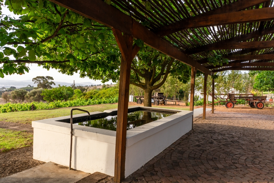 4 Bedroom Property for Sale in Stellenbosch Farms Western Cape